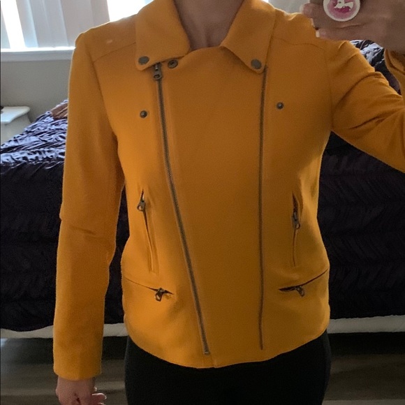 Jacket - Picture 2 of 7